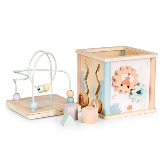 Ecotoys Koka izglītojošais kubs šķirotājs  1001